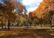 Cambridge Common in the fall