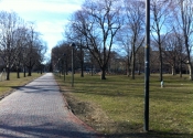 Cambridge Common, play park in distance