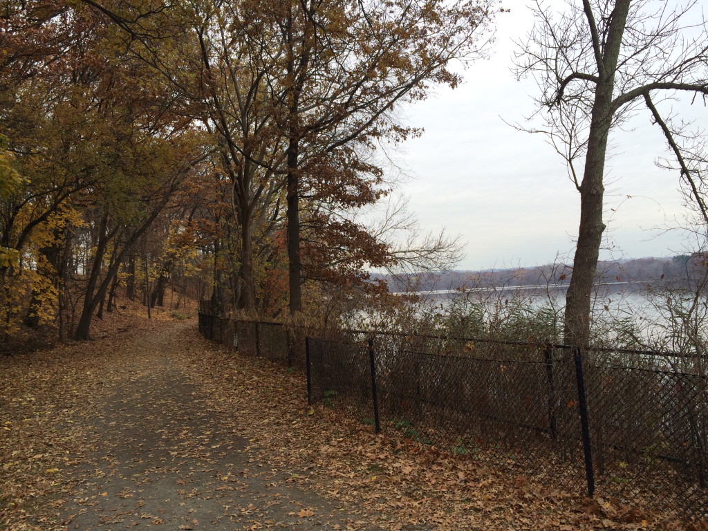 Path around the lake