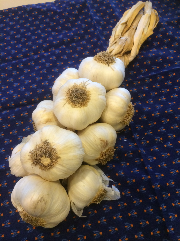 Gilroy garlic